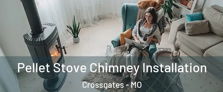 Pellet Stove Chimney Installation Crossgates - MO