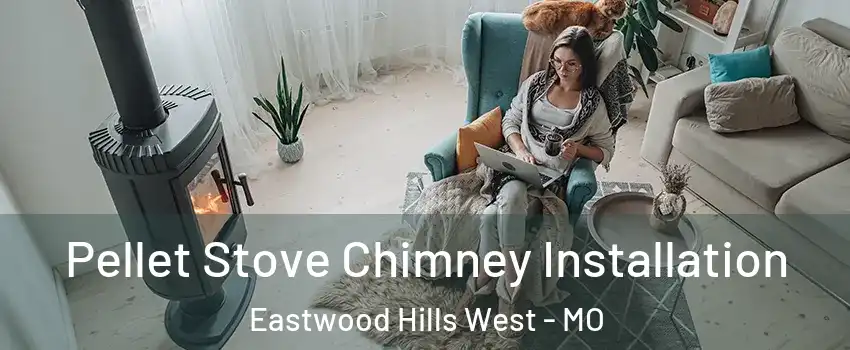 Pellet Stove Chimney Installation Eastwood Hills West - MO