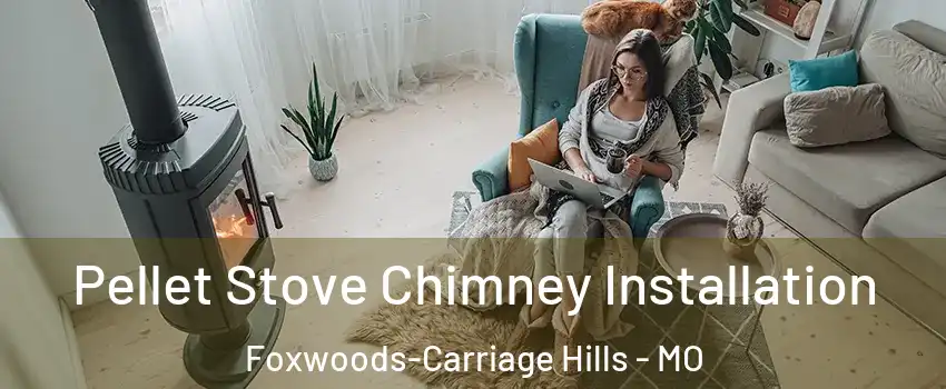 Pellet Stove Chimney Installation Foxwoods-Carriage Hills - MO