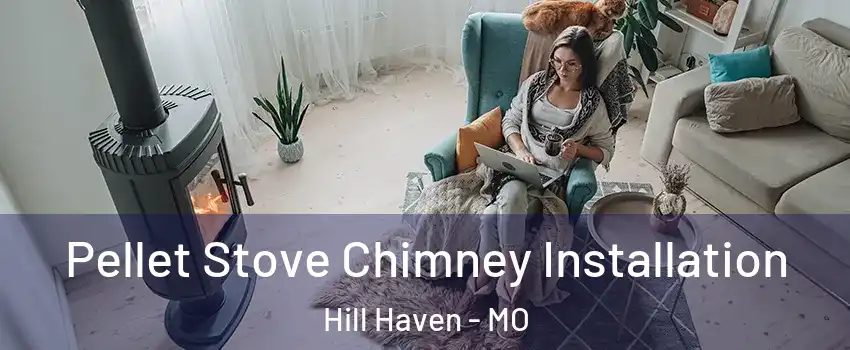 Pellet Stove Chimney Installation Hill Haven - MO