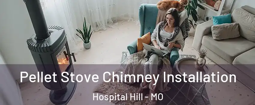 Pellet Stove Chimney Installation Hospital Hill - MO