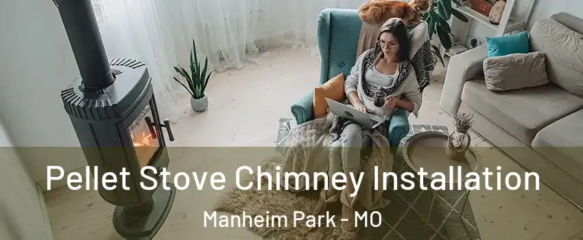 Pellet Stove Chimney Installation Manheim Park - MO