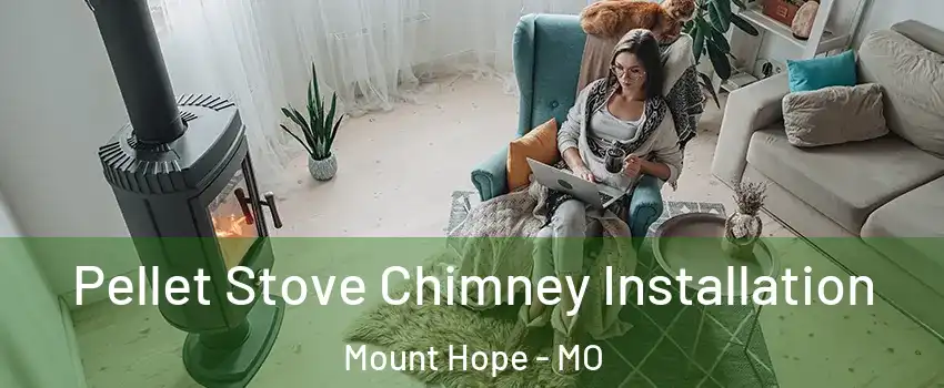 Pellet Stove Chimney Installation Mount Hope - MO