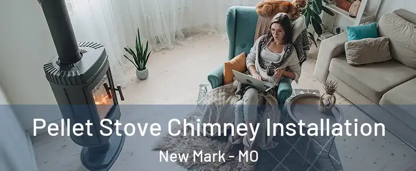 Pellet Stove Chimney Installation New Mark - MO