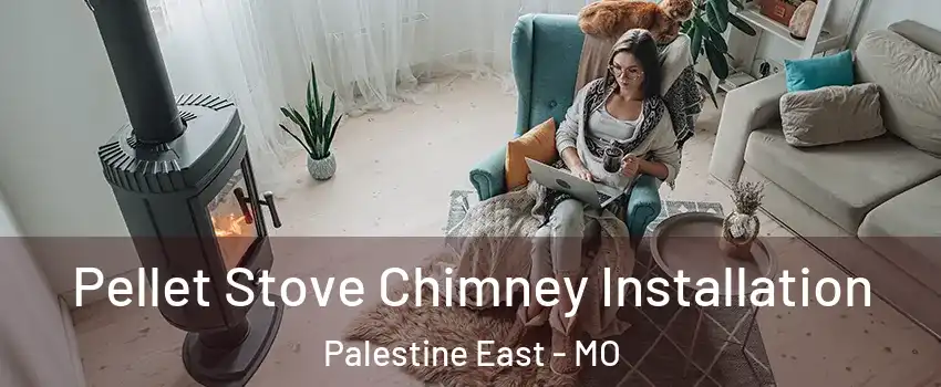 Pellet Stove Chimney Installation Palestine East - MO