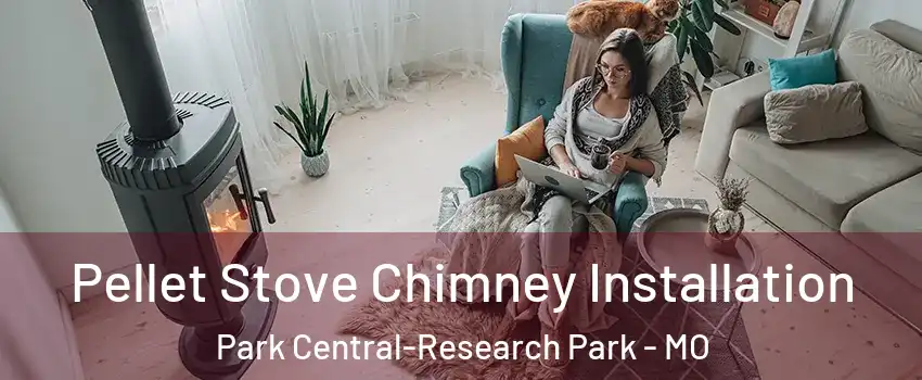 Pellet Stove Chimney Installation Park Central-Research Park - MO