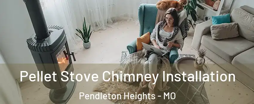 Pellet Stove Chimney Installation Pendleton Heights - MO