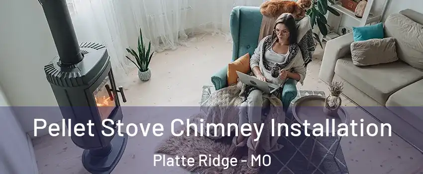 Pellet Stove Chimney Installation Platte Ridge - MO