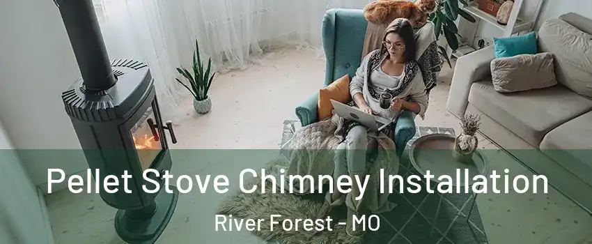 Pellet Stove Chimney Installation River Forest - MO