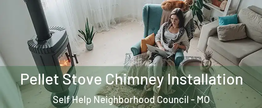 Pellet Stove Chimney Installation Self Help Neighborhood Council - MO