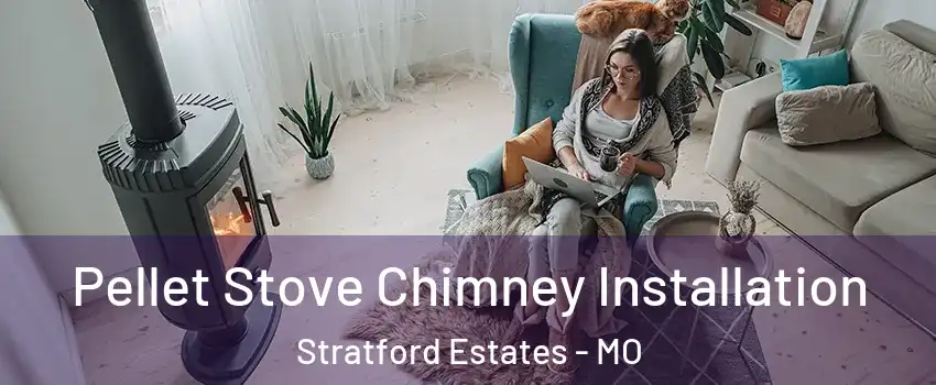 Pellet Stove Chimney Installation Stratford Estates - MO