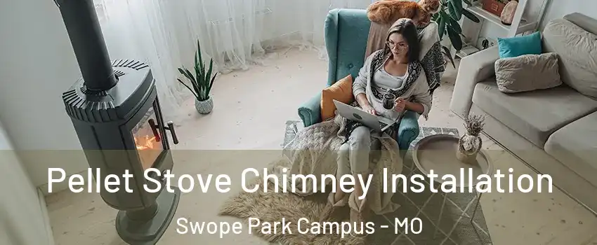 Pellet Stove Chimney Installation Swope Park Campus - MO