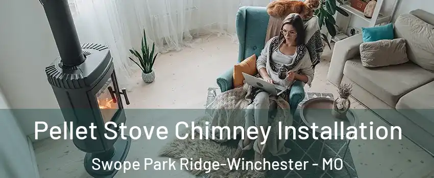 Pellet Stove Chimney Installation Swope Park Ridge-Winchester - MO