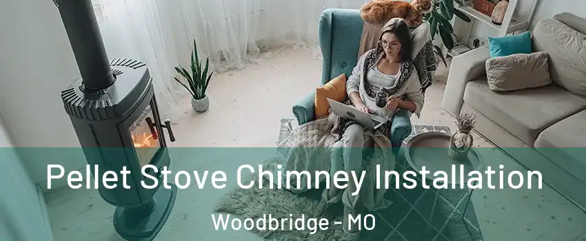 Pellet Stove Chimney Installation Woodbridge - MO