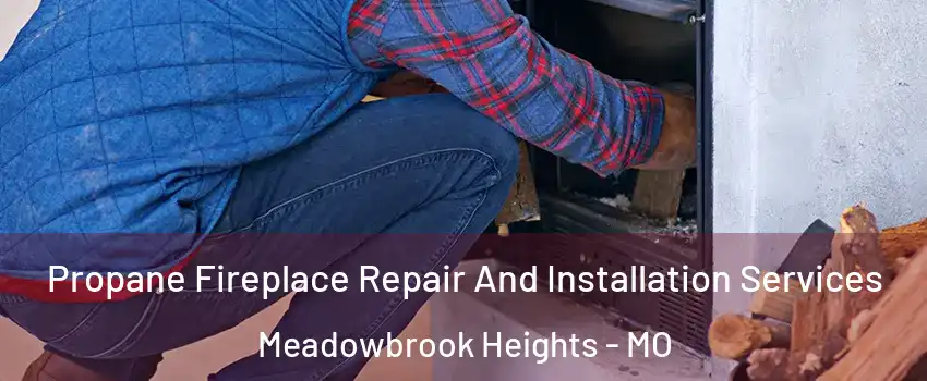 Propane Fireplace Repair And Installation Services Meadowbrook Heights - MO