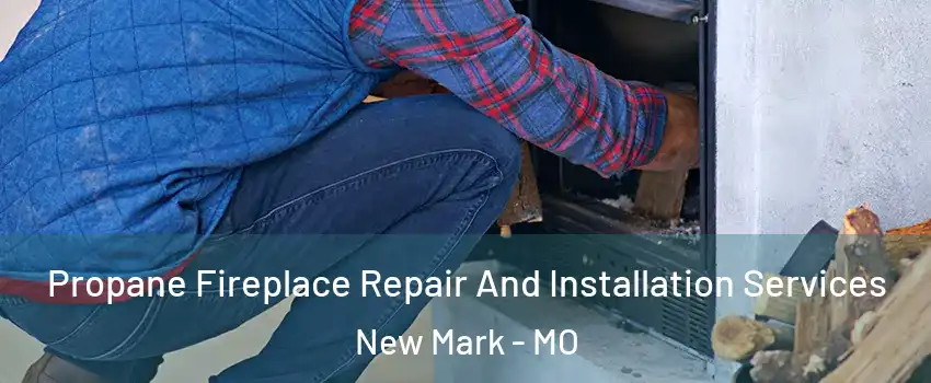 Propane Fireplace Repair And Installation Services New Mark - MO