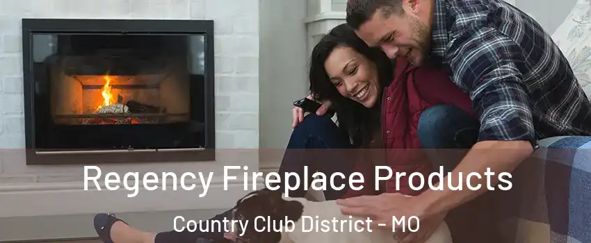 Regency Fireplace Products Country Club District - MO