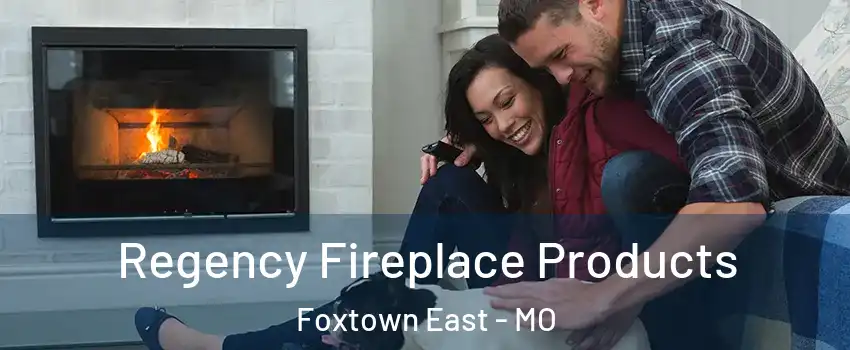 Regency Fireplace Products Foxtown East - MO