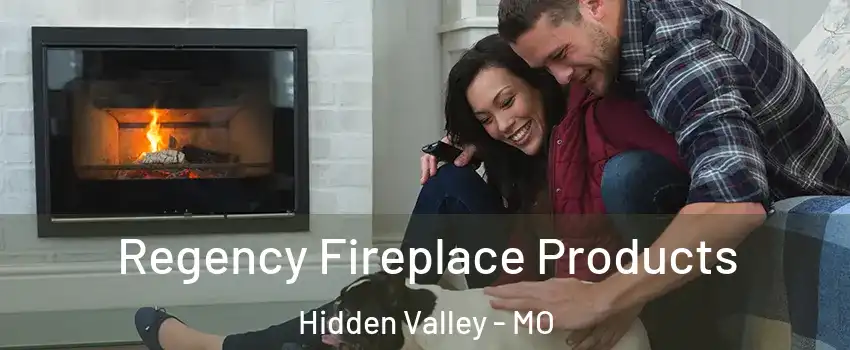 Regency Fireplace Products Hidden Valley - MO