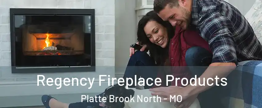 Regency Fireplace Products Platte Brook North - MO