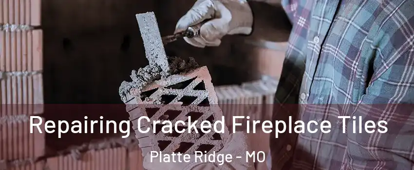 Repairing Cracked Fireplace Tiles Platte Ridge - MO