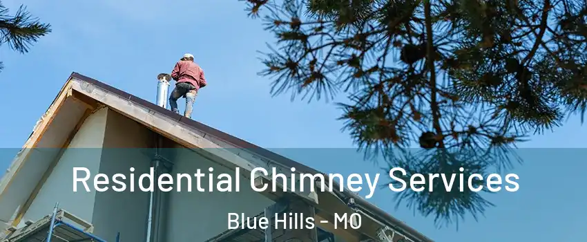 Residential Chimney Services Blue Hills - MO