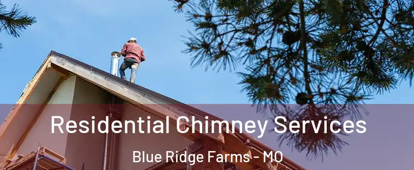 Residential Chimney Services Blue Ridge Farms - MO