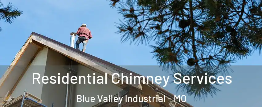 Residential Chimney Services Blue Valley Industrial - MO