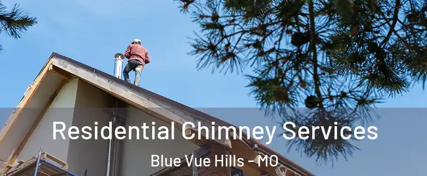 Residential Chimney Services Blue Vue Hills - MO