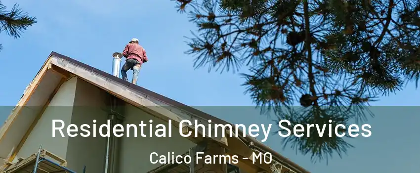 Residential Chimney Services Calico Farms - MO