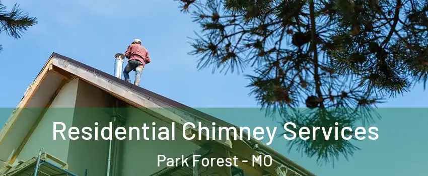 Residential Chimney Services Park Forest - MO