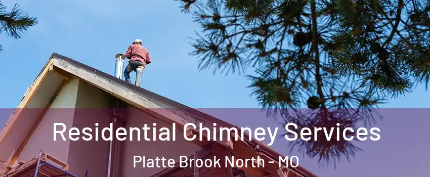 Residential Chimney Services Platte Brook North - MO