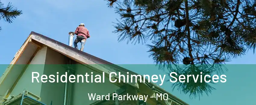 Residential Chimney Services Ward Parkway - MO