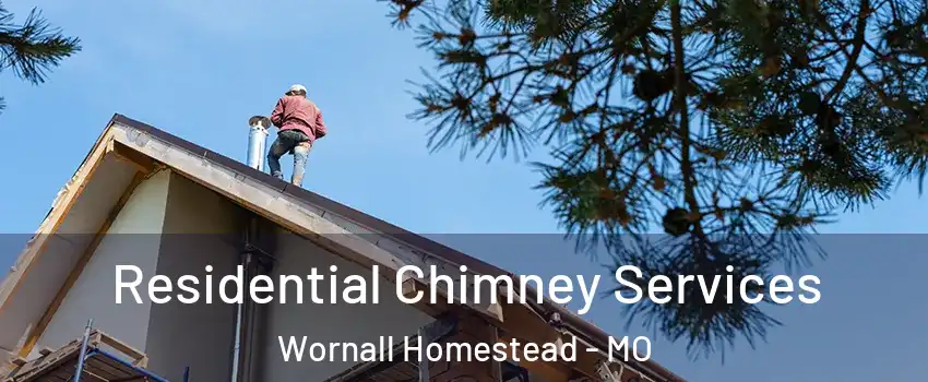 Residential Chimney Services Wornall Homestead - MO