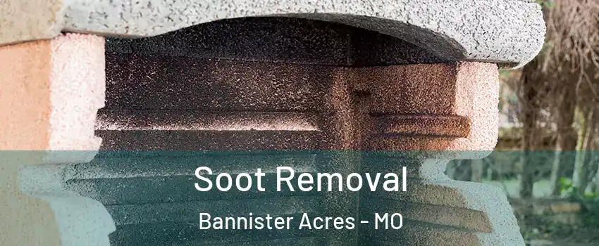 Soot Removal Bannister Acres - MO