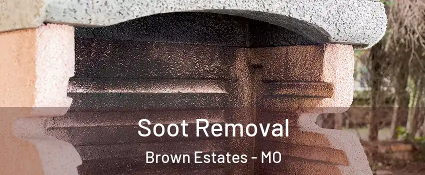 Soot Removal Brown Estates - MO