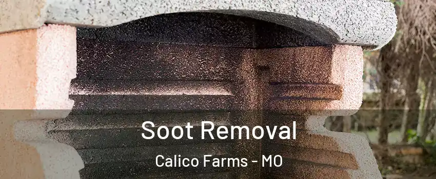 Soot Removal Calico Farms - MO