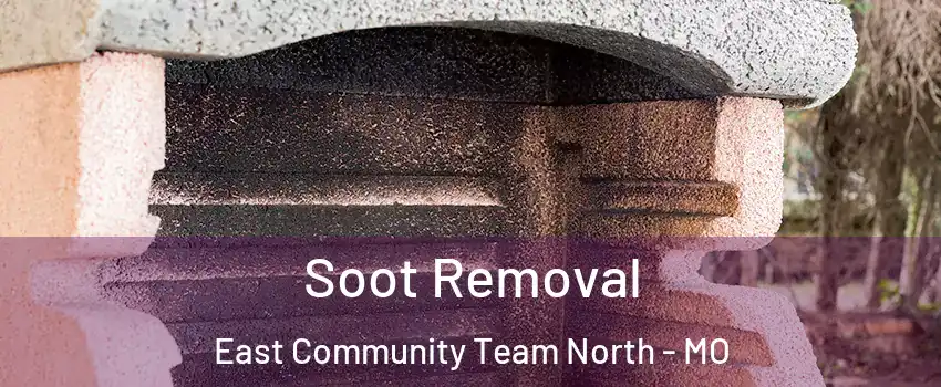 Soot Removal East Community Team North - MO