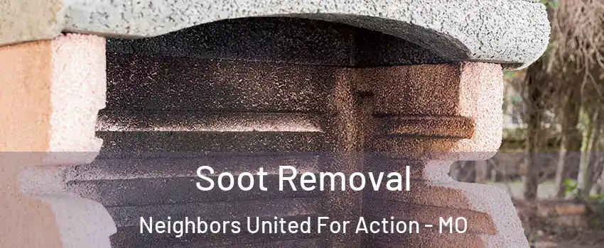 Soot Removal Neighbors United For Action - MO