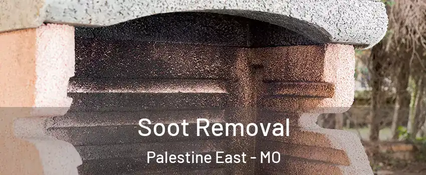 Soot Removal Palestine East - MO