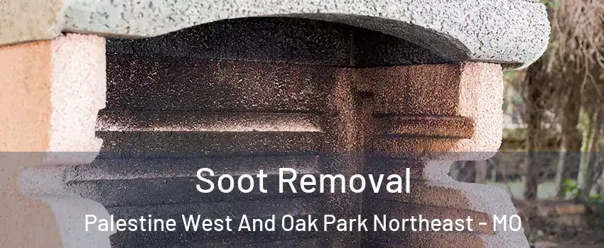 Soot Removal Palestine West And Oak Park Northeast - MO