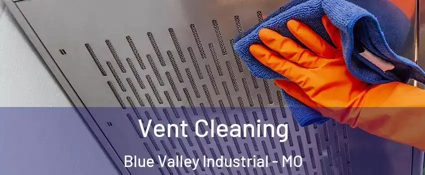 Vent Cleaning Blue Valley Industrial - MO