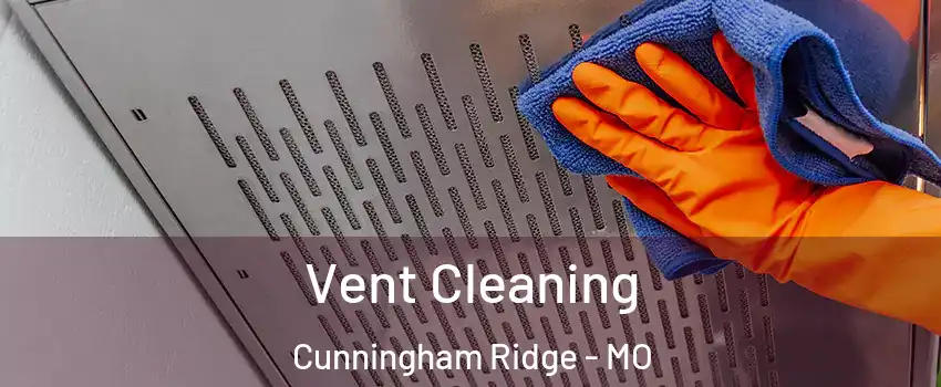 Vent Cleaning Cunningham Ridge - MO