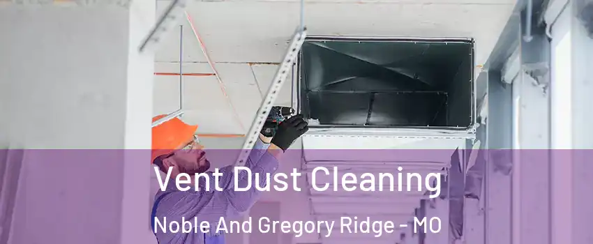 Vent Dust Cleaning Noble And Gregory Ridge - MO