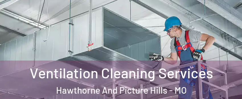 Ventilation Cleaning Services Hawthorne And Picture Hills - MO