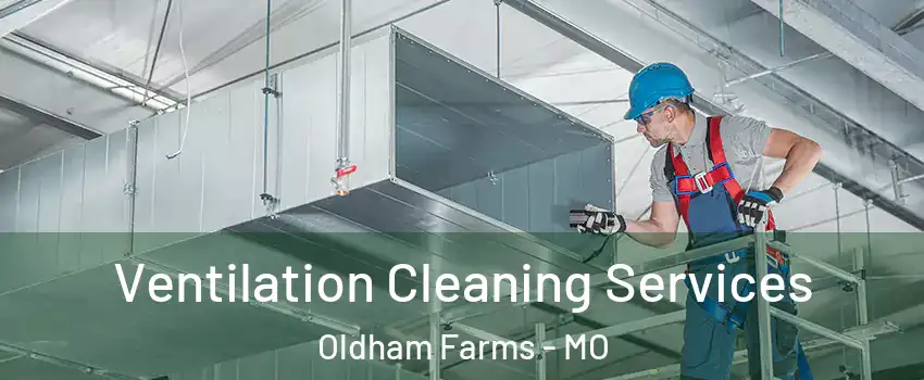 Ventilation Cleaning Services Oldham Farms - MO