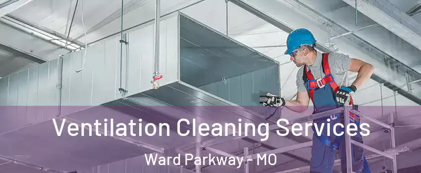 Ventilation Cleaning Services Ward Parkway - MO