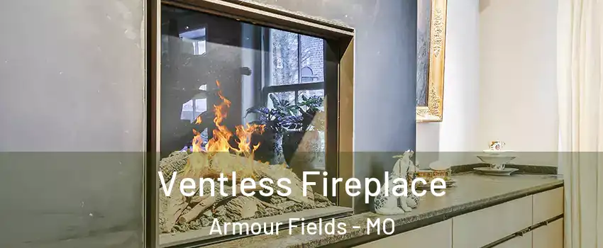 Ventless Fireplace Armour Fields - MO