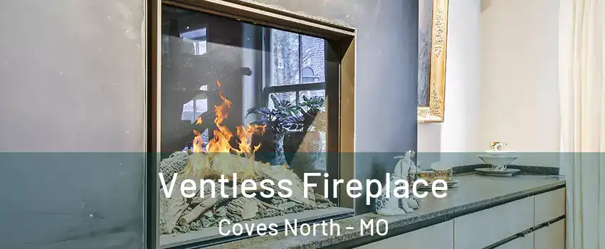 Ventless Fireplace Coves North - MO