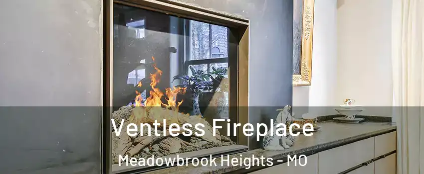 Ventless Fireplace Meadowbrook Heights - MO